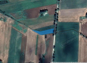 Image category