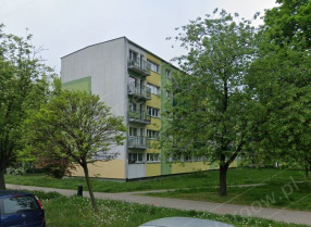 Image category