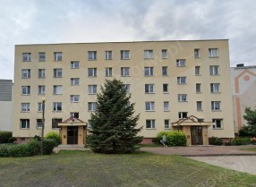 Image category