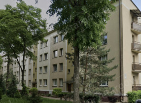 Image category