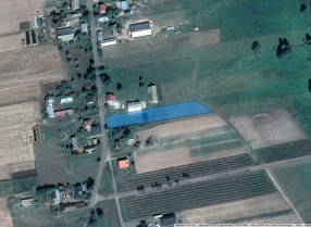 Image category