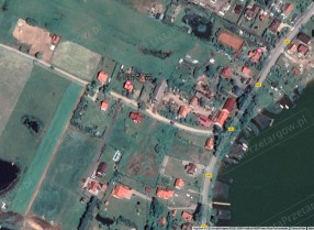 Image category