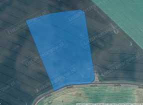 Image category