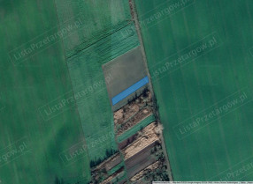 Image category