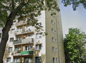 Image category