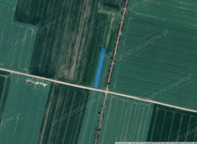 Image category