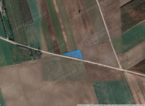 Image category