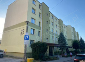 Image category