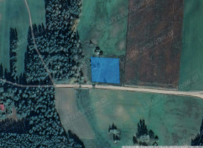 Image category
