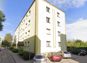 Image category