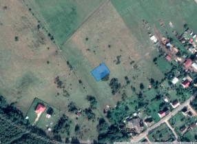 Image category