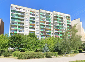 Image category