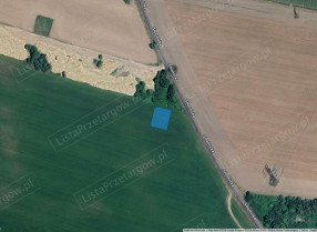 Image category