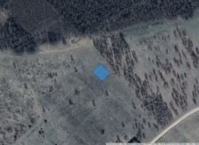 Image category