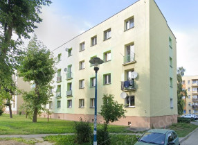 Image category