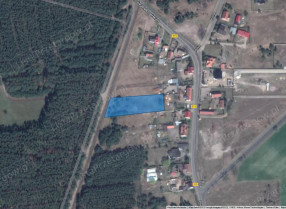 Image category