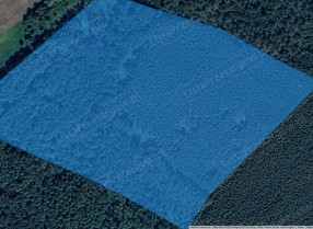 Image category