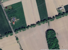 Image category