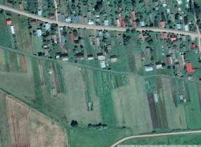 Image category