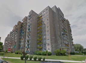 Image category