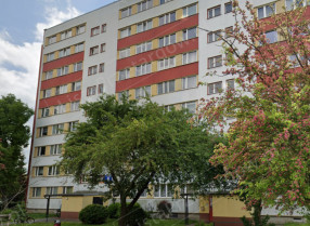 Nieruchomość