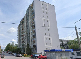 Image category