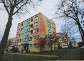 Image category