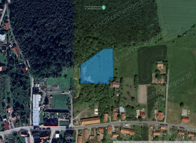 Nieruchomość