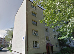 Image category