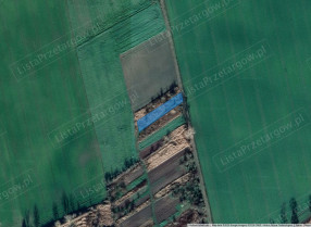 Image category