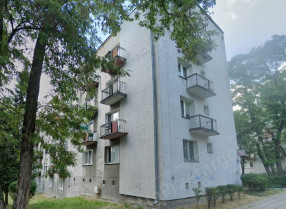 Image category