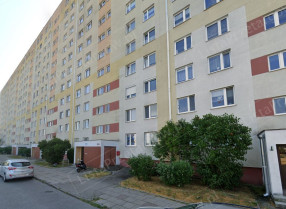 Image category