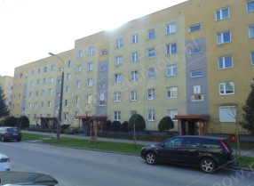 Image category