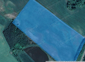 Image category