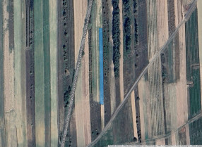 Image category