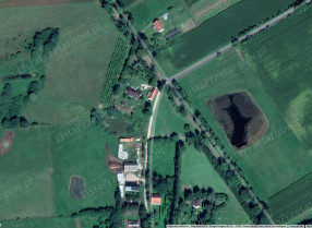 Image category