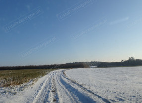 Nieruchomość