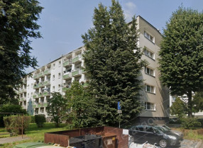 Image category