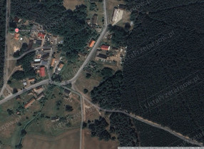 Image category