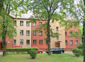 Image category