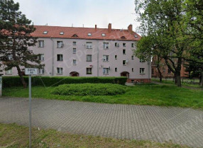 Image category
