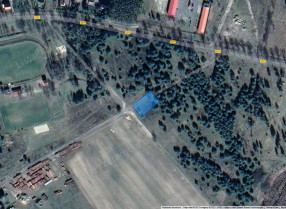 Image category