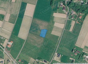 Nieruchomość