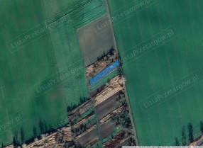 Image category
