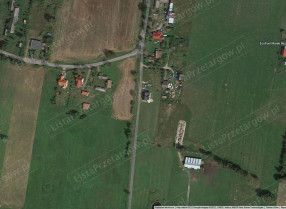 Image category