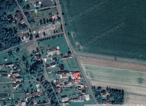 Image category