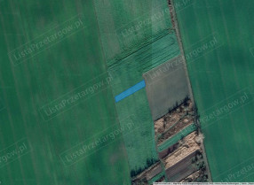 Image category