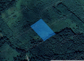 Image category