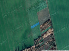 Image category
