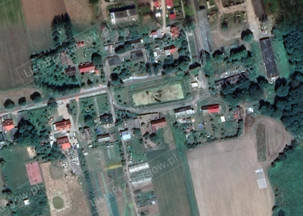 Image category